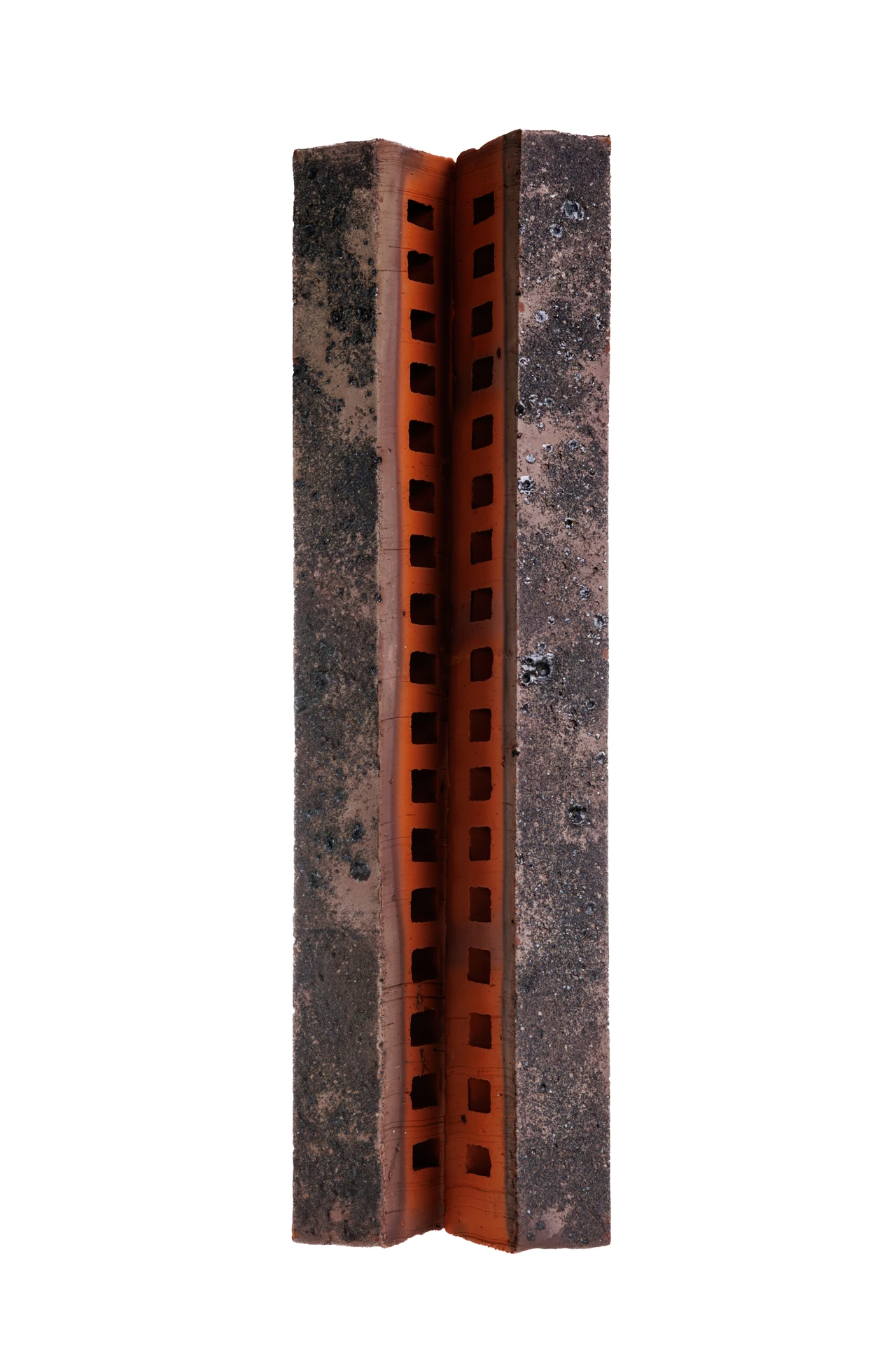 Меркурий ригель