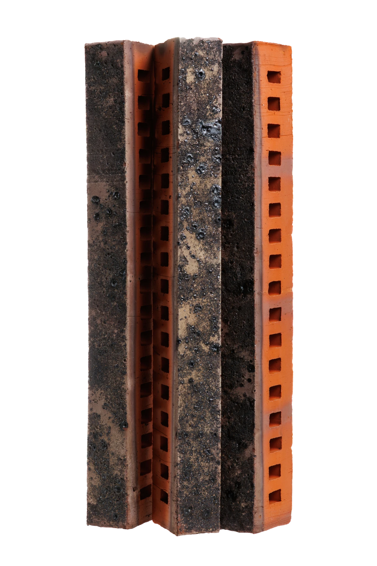 Меркурий ригель