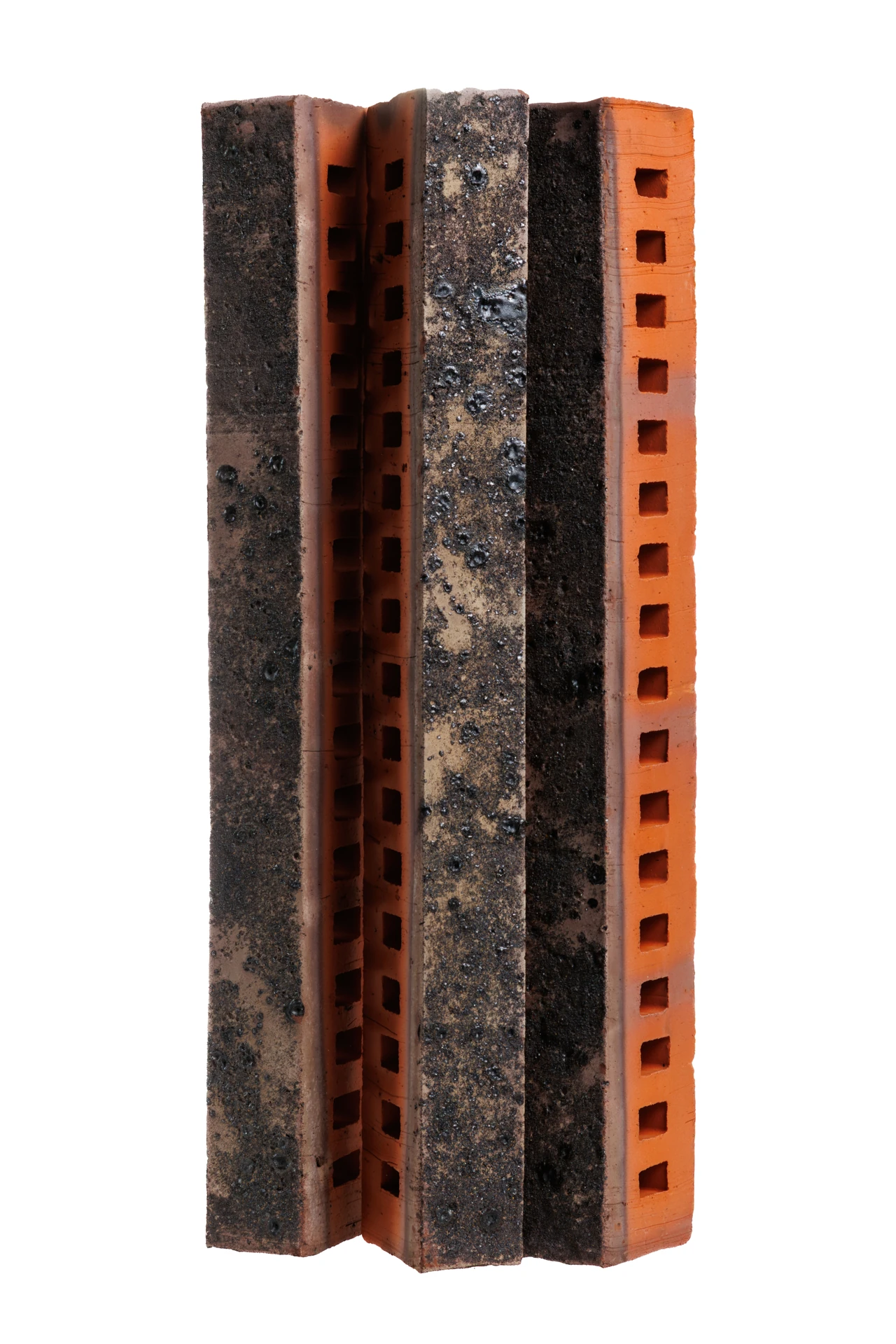 Меркурий ригель