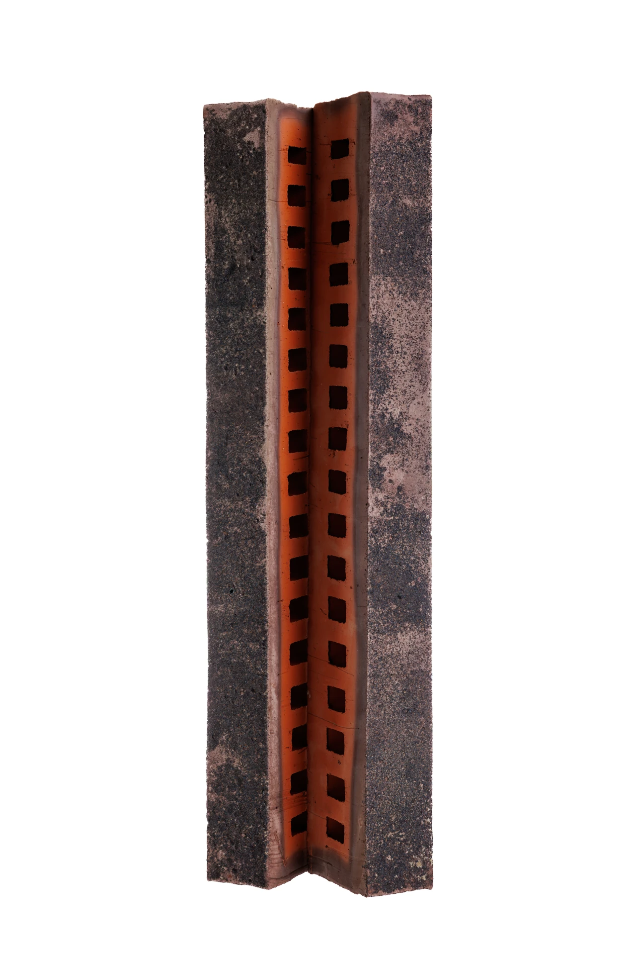 Туман ригель