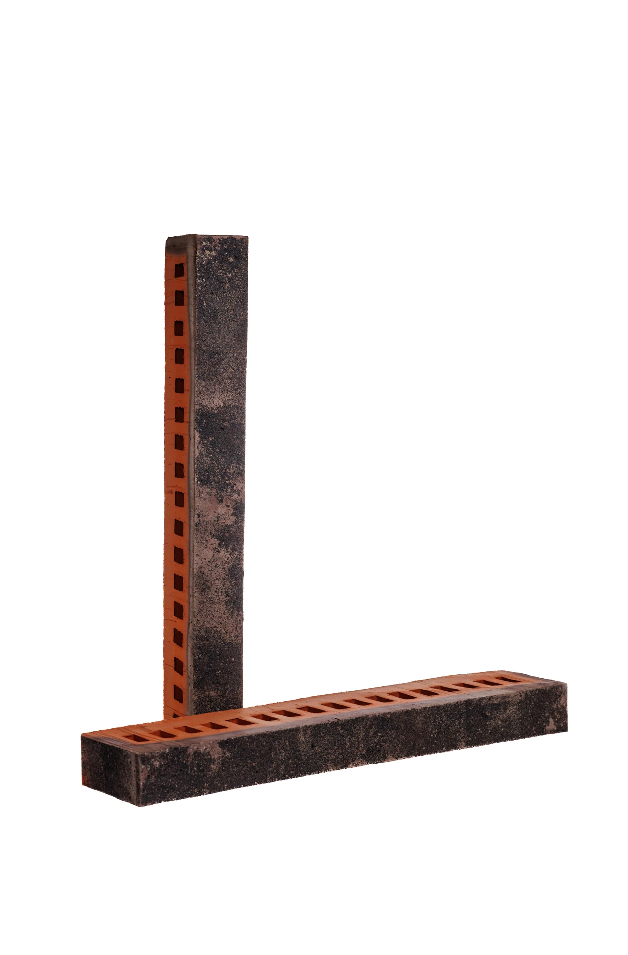 Туман ригель