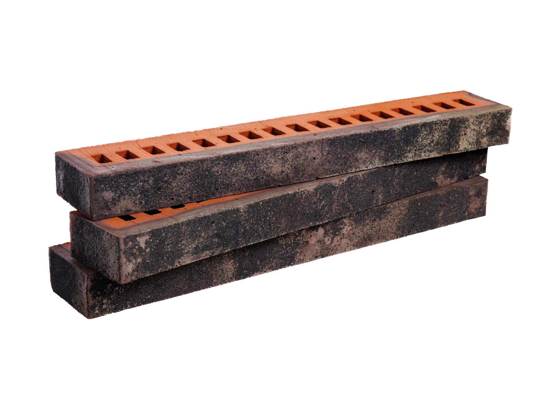 Туман ригель