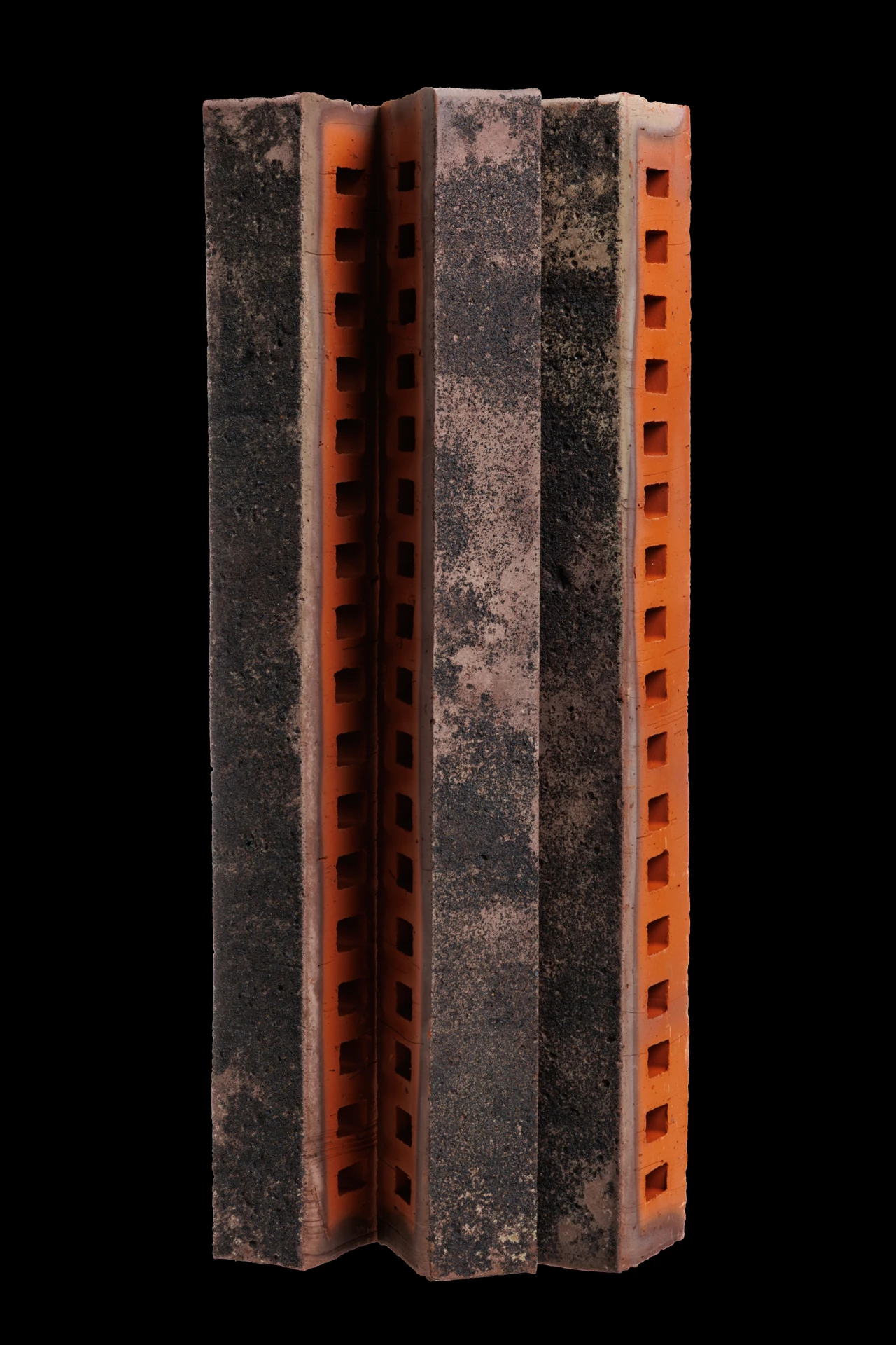 Туман ригель