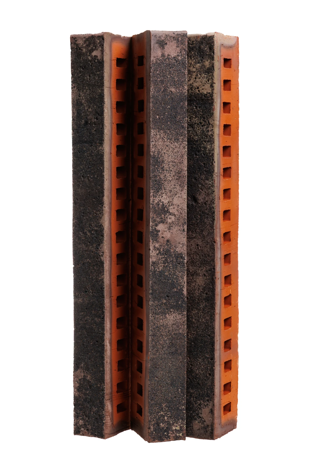 Туман ригель